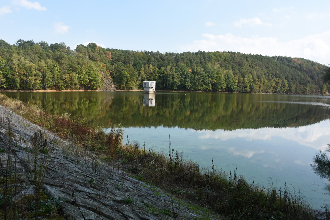 DSC_6472.JPG