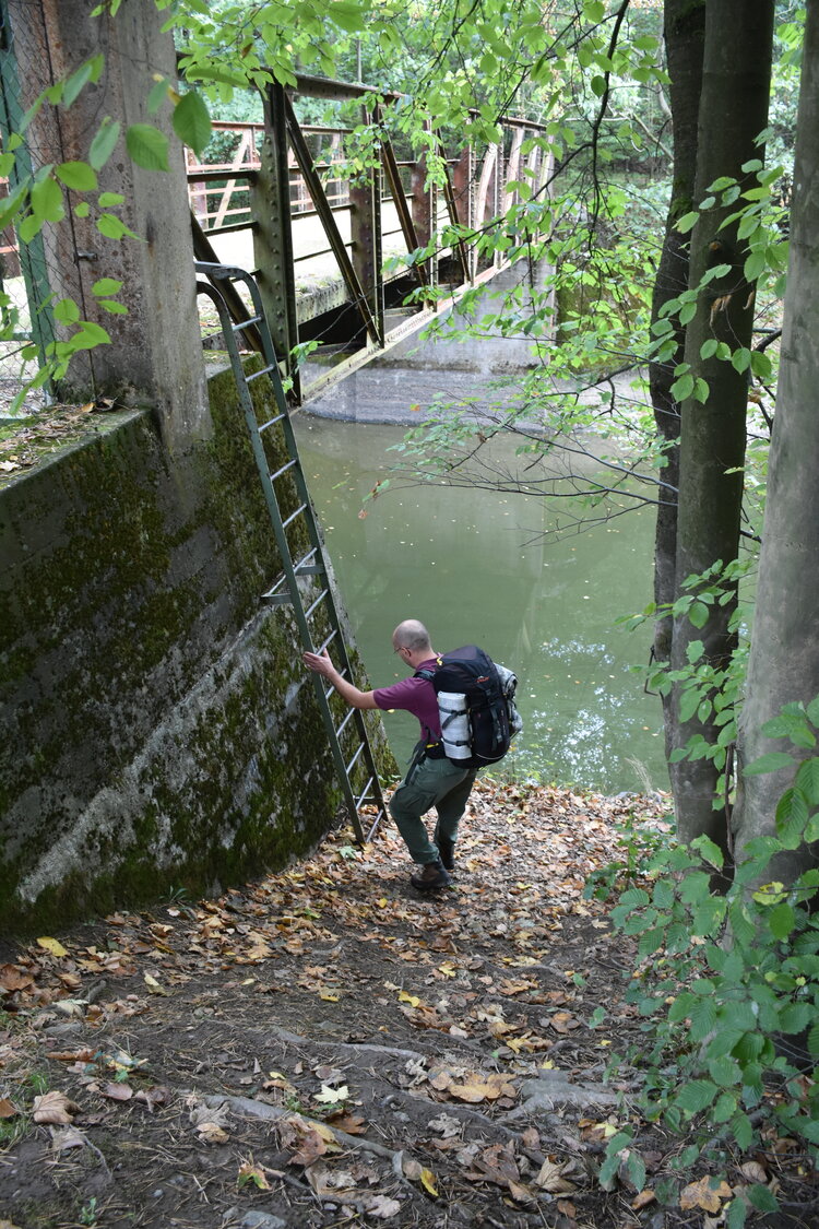 DSC_6484.JPG