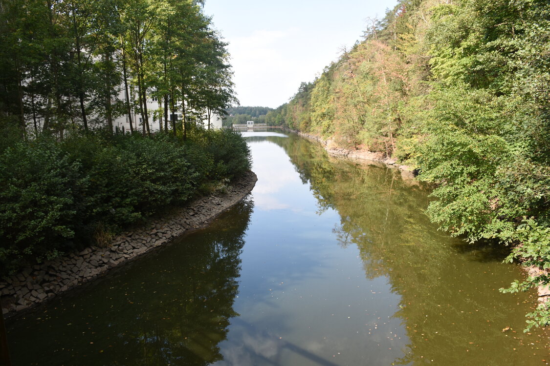 DSC_6496.JPG