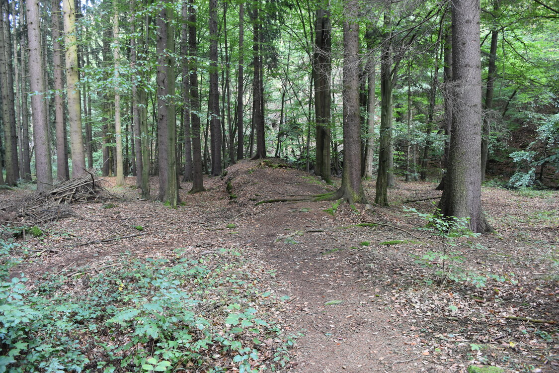 DSC_6508.JPG