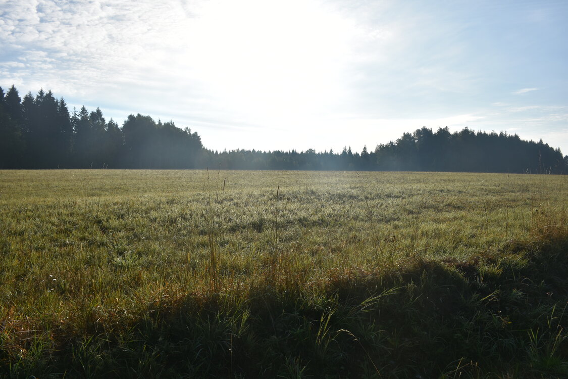 DSC_6522.JPG