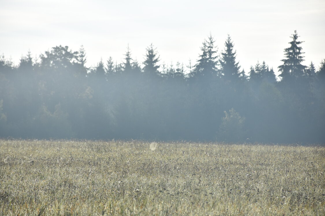 DSC_6523.JPG