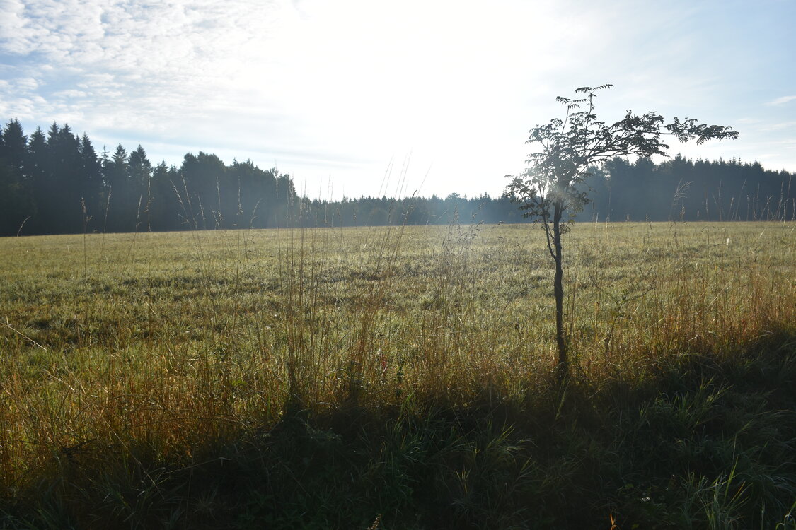 DSC_6524.JPG