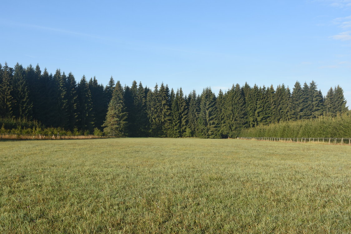 DSC_6530.JPG