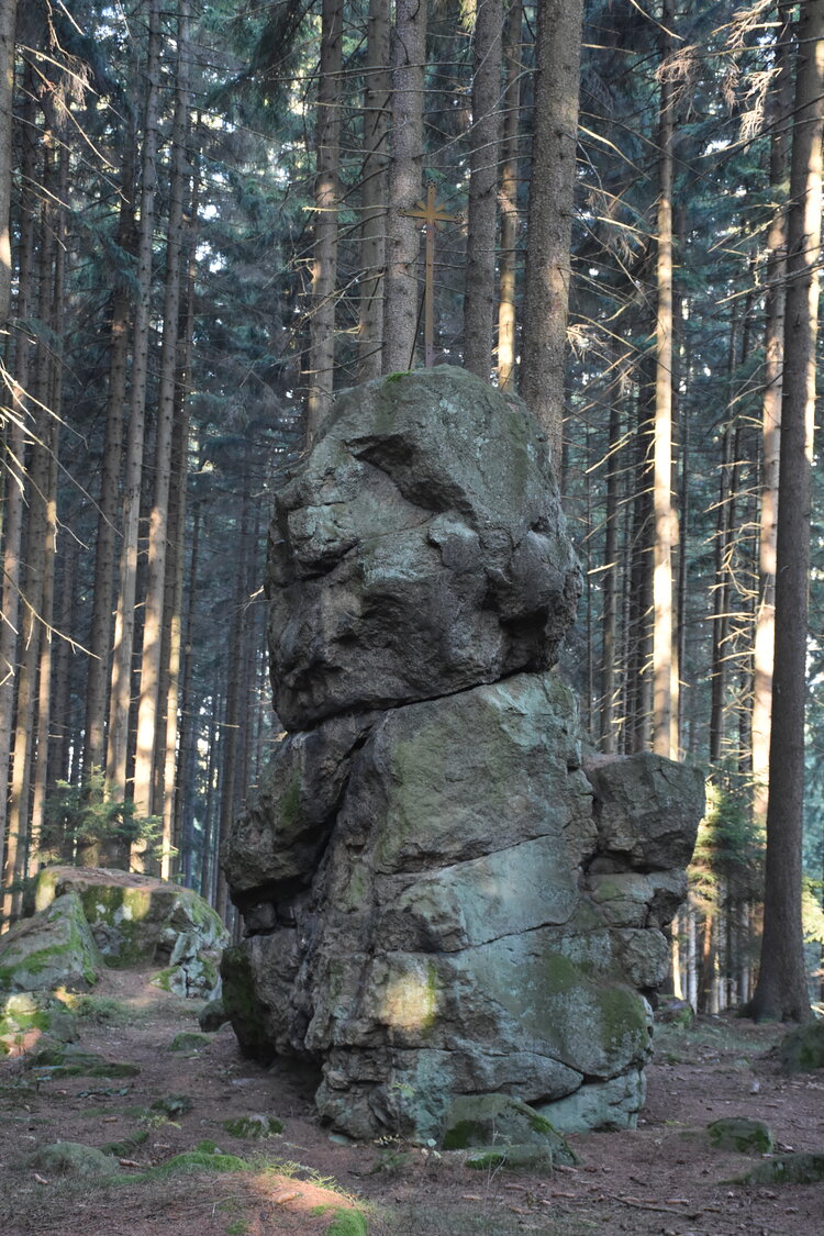 DSC_6535.JPG