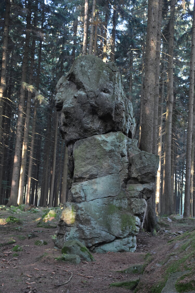 DSC_6536.JPG