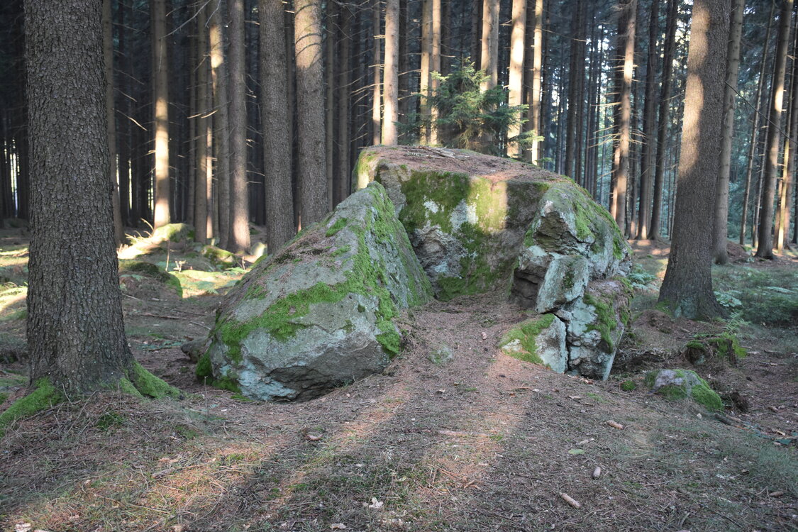 DSC_6537.JPG