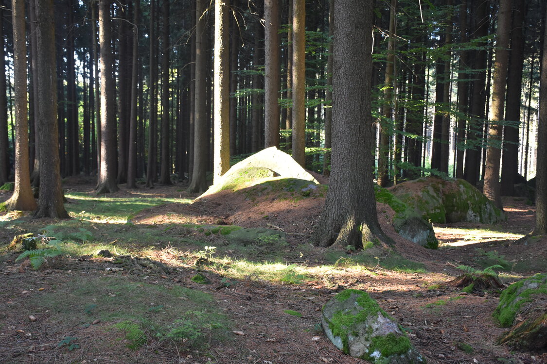 DSC_6538.JPG