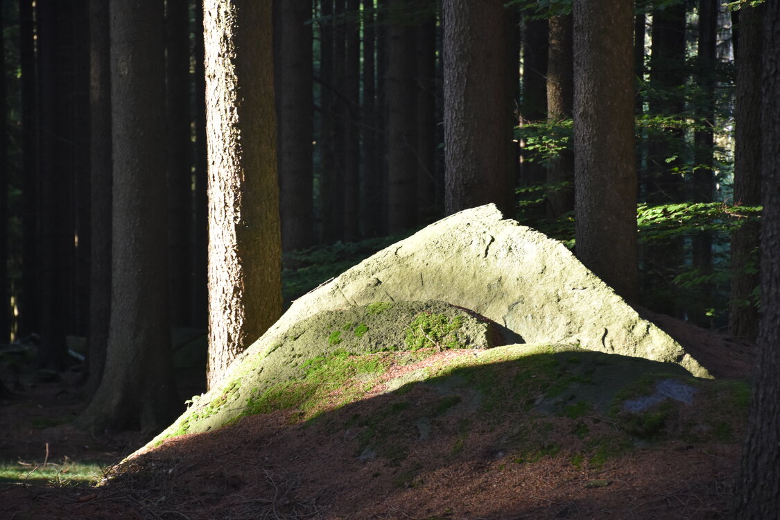 DSC_6539.JPG