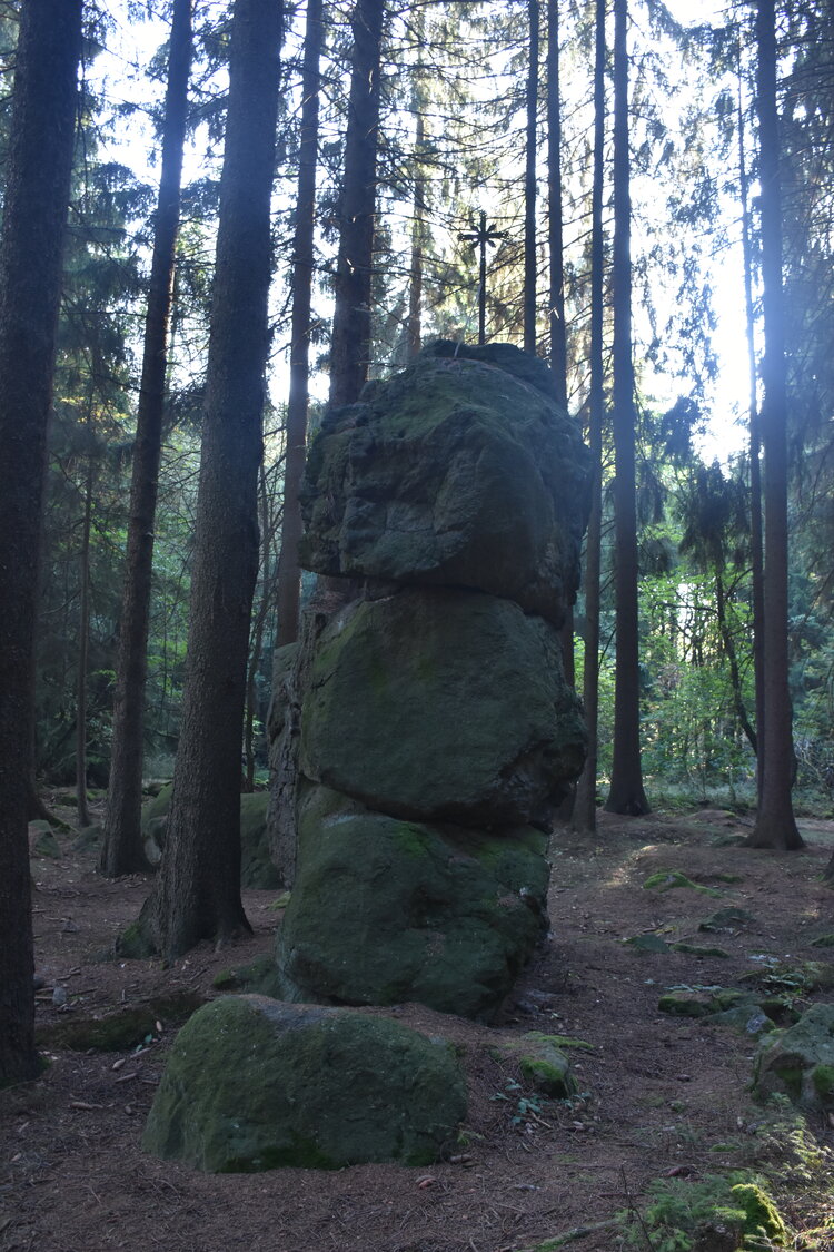 DSC_6540.JPG