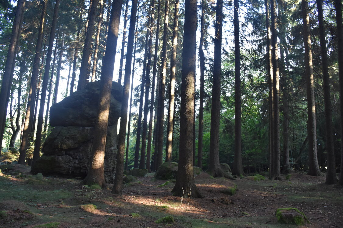 DSC_6548.JPG