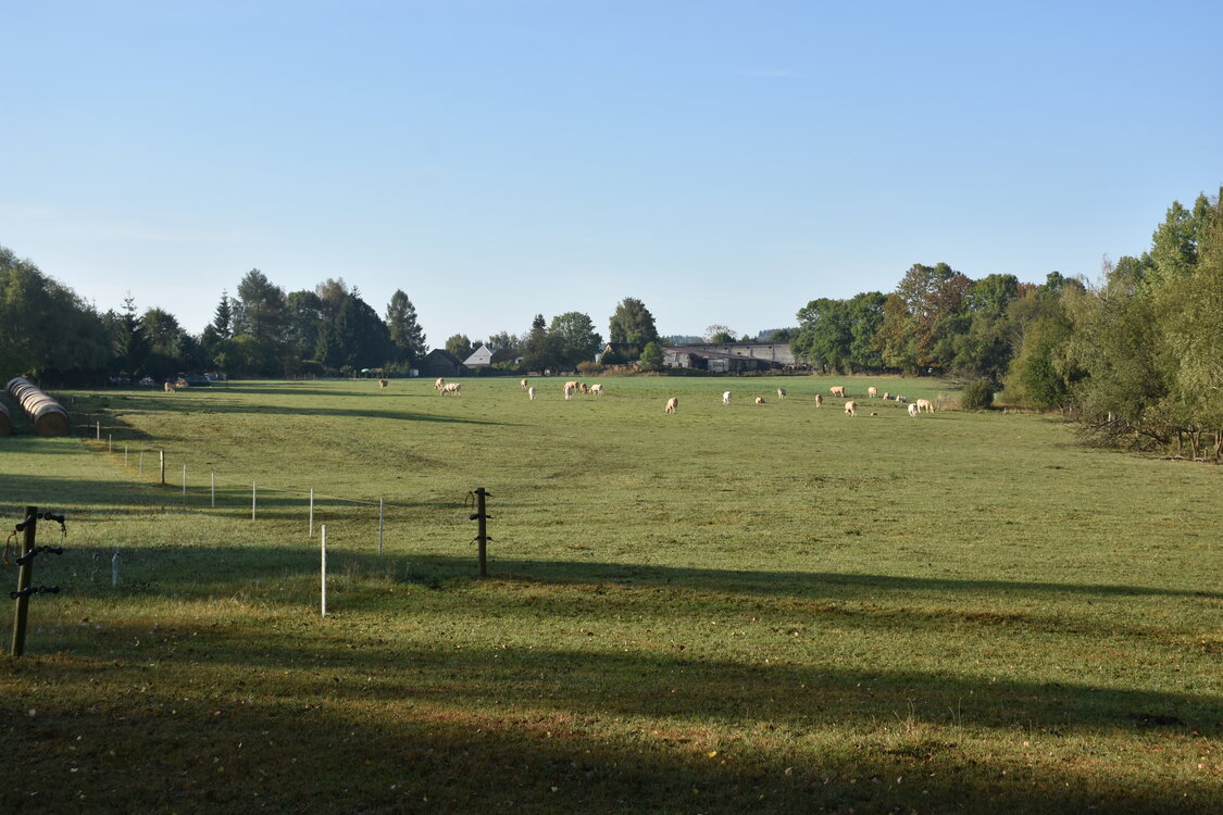 DSC_6562.JPG