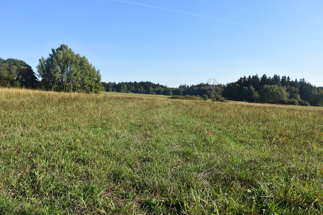 DSC_6564.JPG