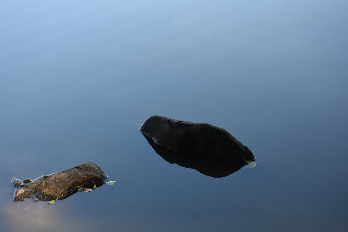 DSC_6569.JPG