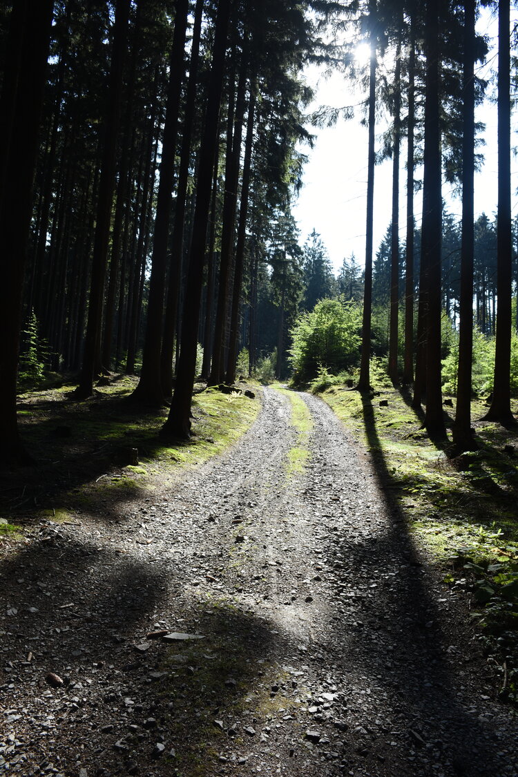 DSC_6580.JPG