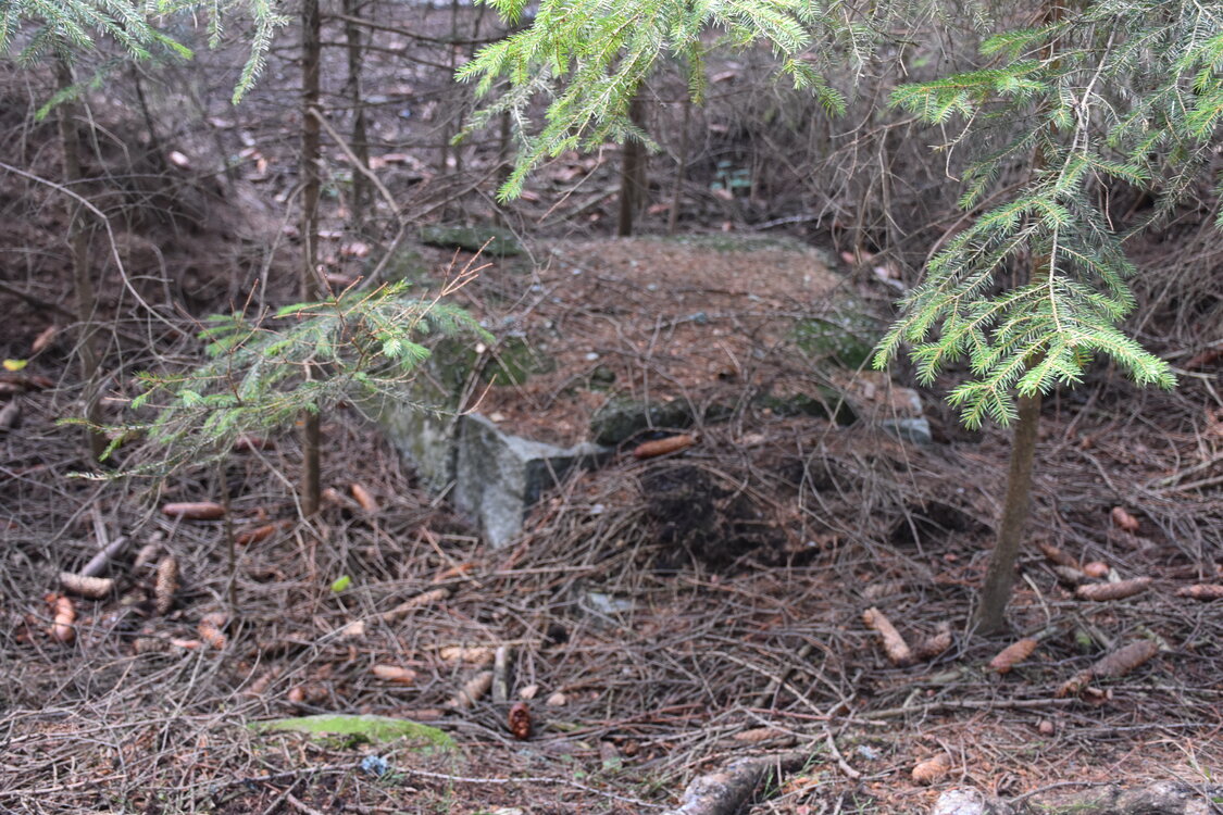 DSC_6585.JPG
