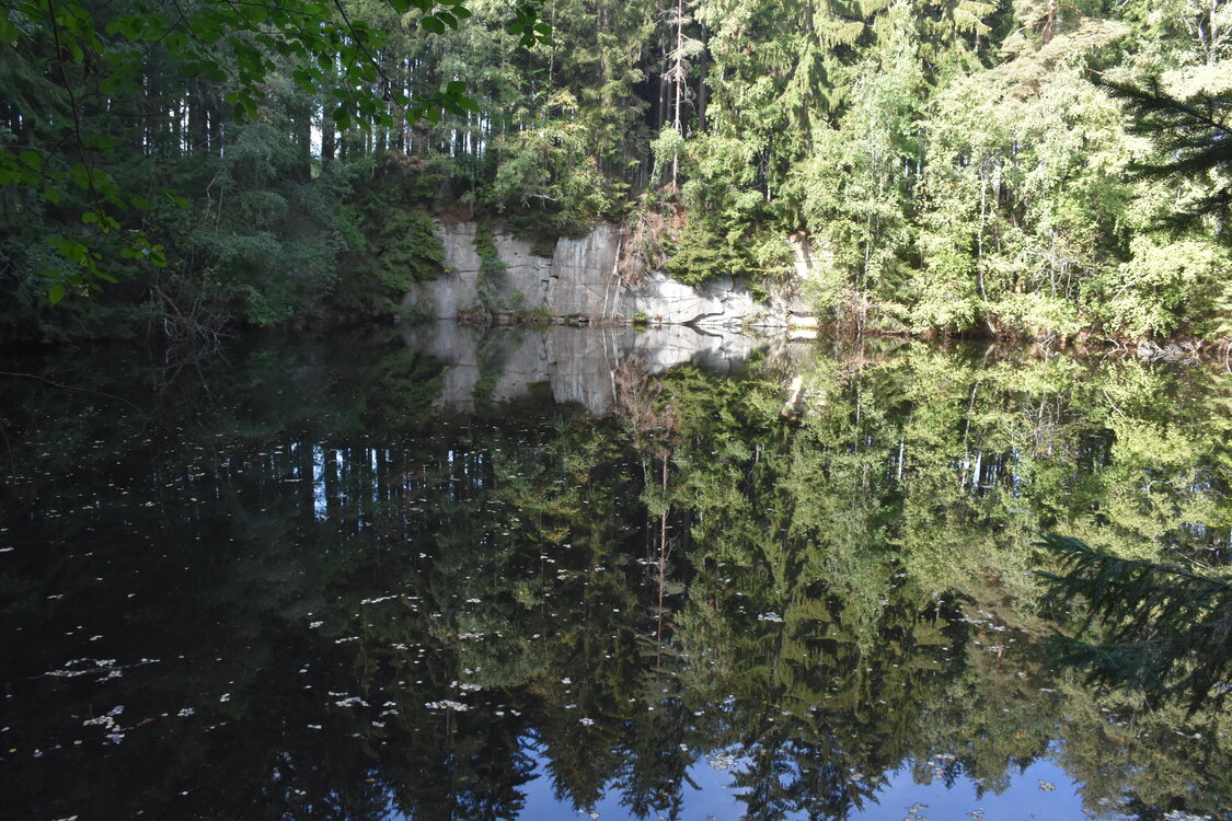 DSC_6588.JPG