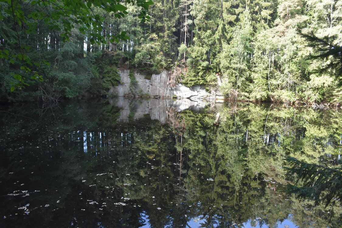 DSC_6589.JPG