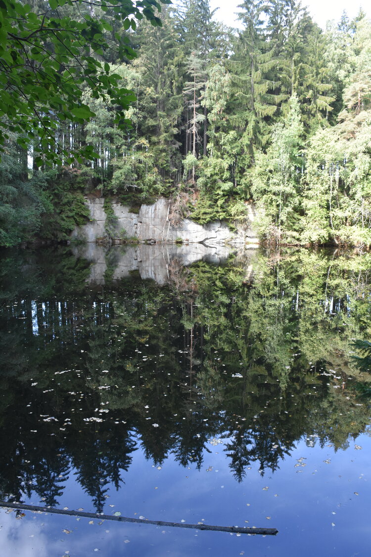 DSC_6590.JPG