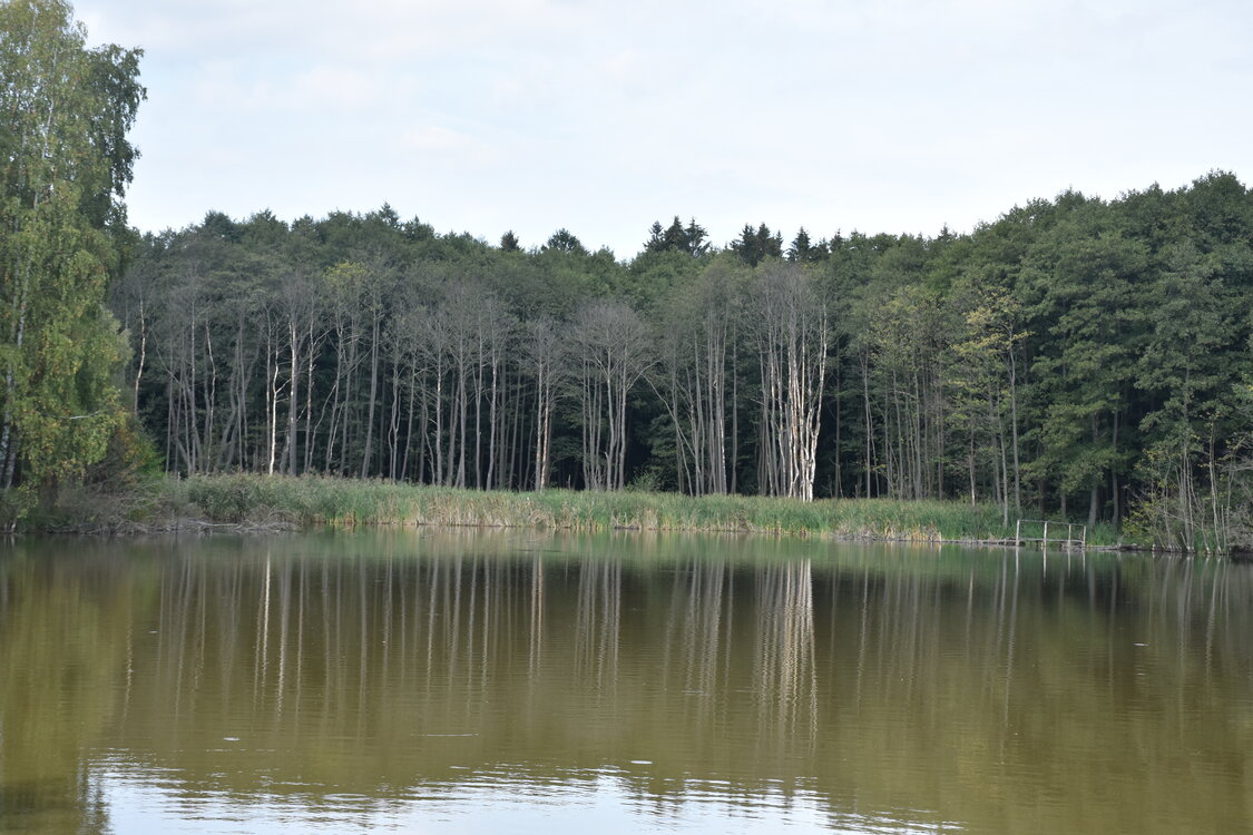 DSC_6592.JPG