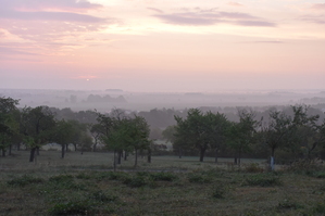DSC_6398.JPG