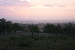 DSC_6402.JPG