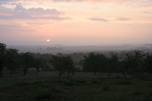 DSC_6403.JPG
