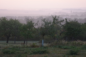 DSC_6405.JPG