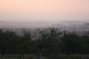 DSC_6406.JPG