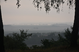 DSC_6412.JPG