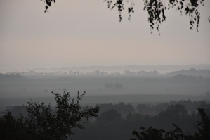 DSC_6413.JPG