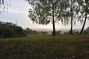 DSC_6414.JPG