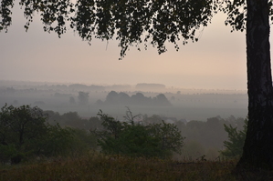 DSC_6415.JPG