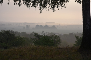 DSC_6416.JPG