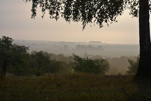 DSC_6418.JPG