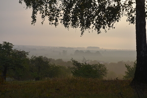 DSC_6419.JPG