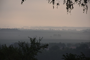 DSC_6420.JPG