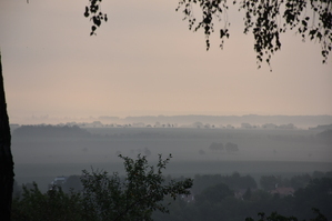 DSC_6421.JPG