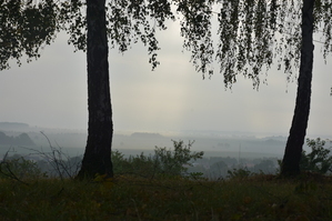 DSC_6424.JPG