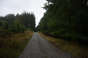 DSC_6435.JPG