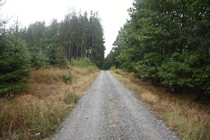 DSC_6436.JPG