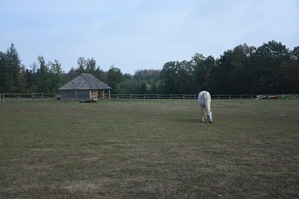 DSC_6451.JPG