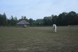 DSC_6452.JPG