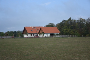DSC_6453.JPG