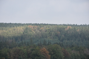 DSC_6463.JPG