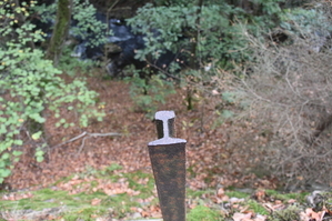 DSC_6504.JPG