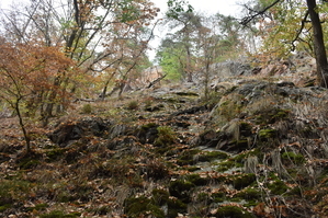DSC_6506.JPG