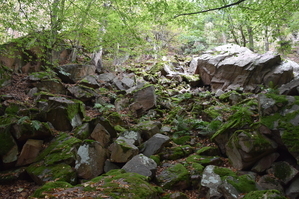 DSC_6507.JPG