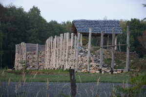 DSC_6519.JPG