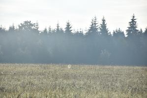 DSC_6523.JPG